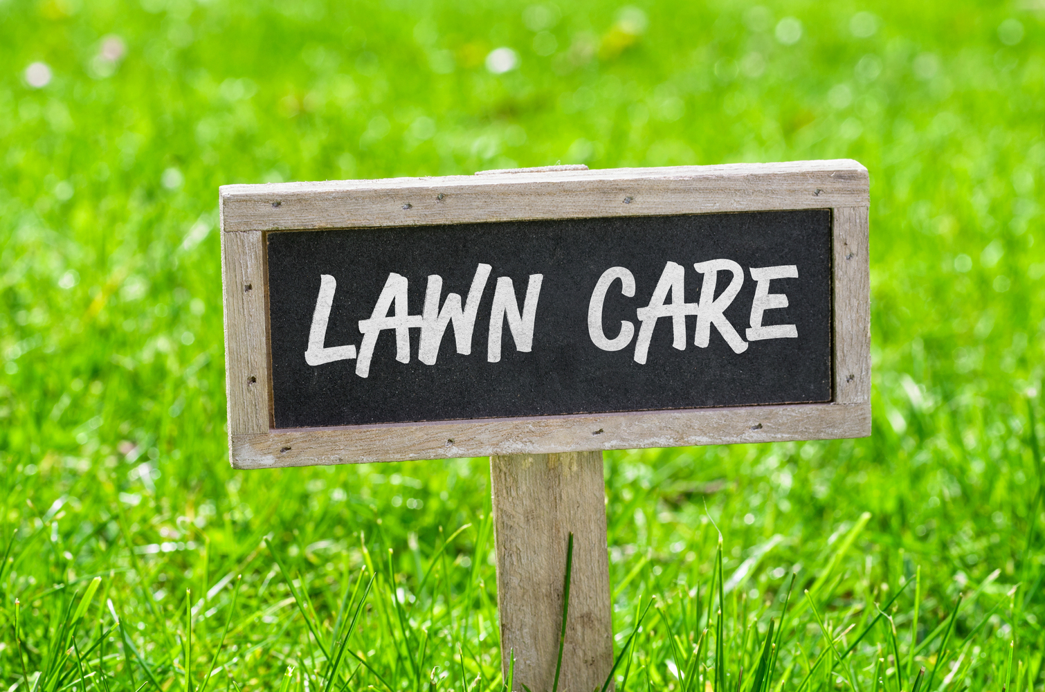 Natural Green Lawn Care Tips