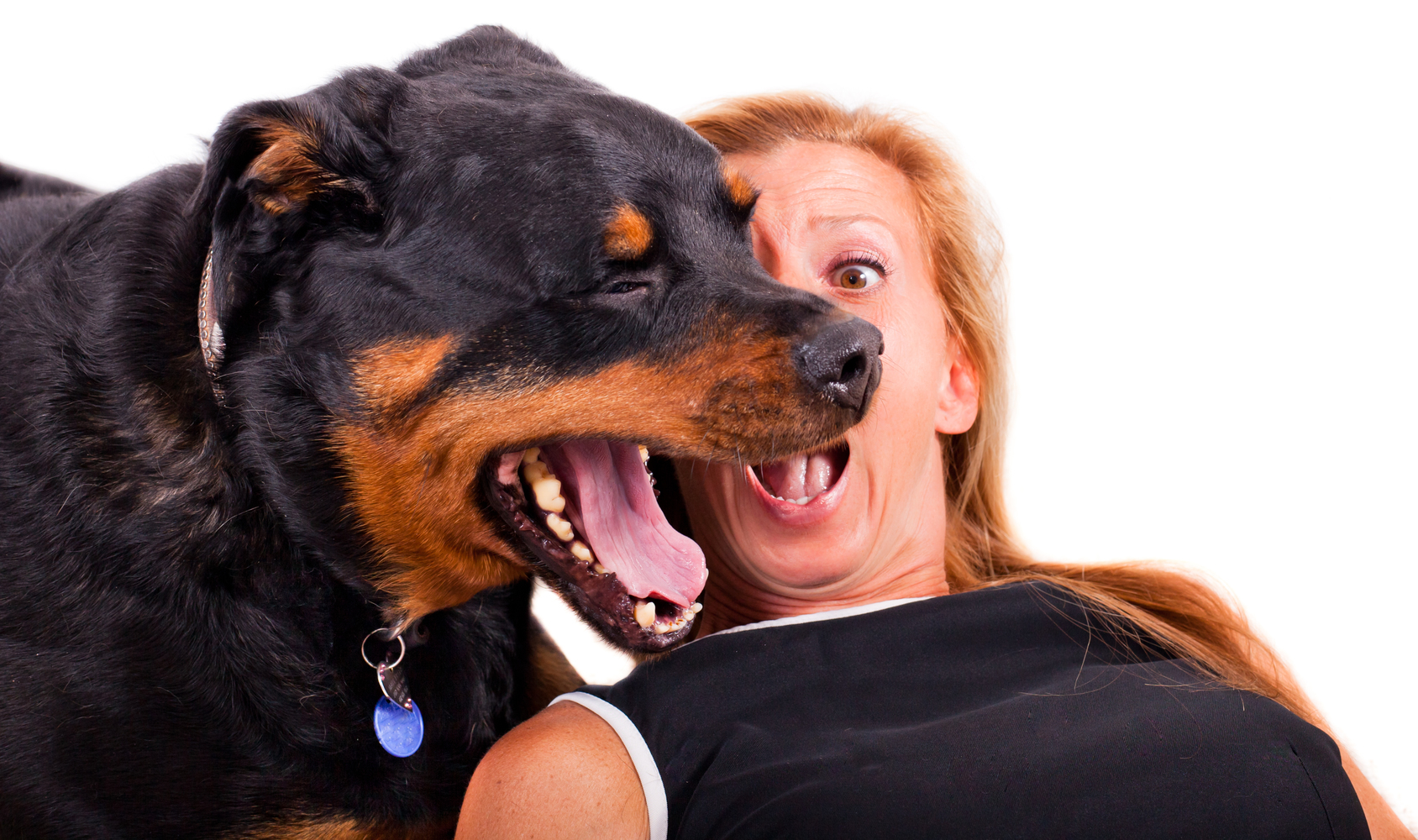 Natural Remedies for Bad Breath in Dogs
